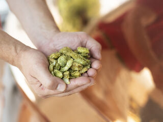 Rugenbräu as an employer - pursuing common goals