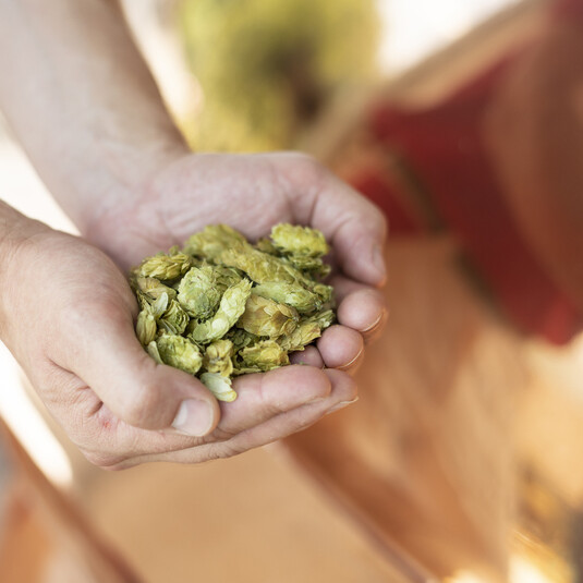 Rugenbräu as an employer - pursuing common goals