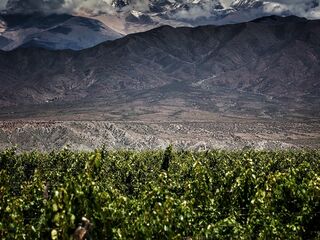 Swiss Mountain Single Malt Whisky Master - Distiller Edition III