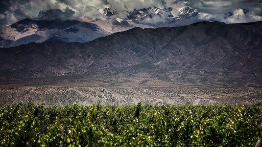 Bodega Colomé in Argentinien
