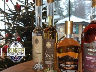 Discover the new Wy Vlog of Bruno Loncao