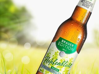 The hop blossom is a new addition to our diverse range of beers.