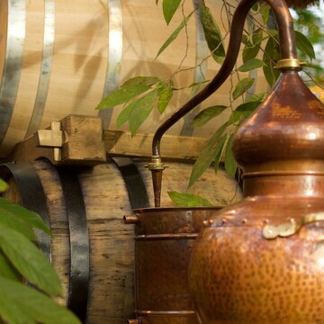 Whiskyfässer im Tropenhaus
