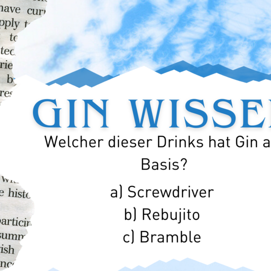 Gin-Wissen