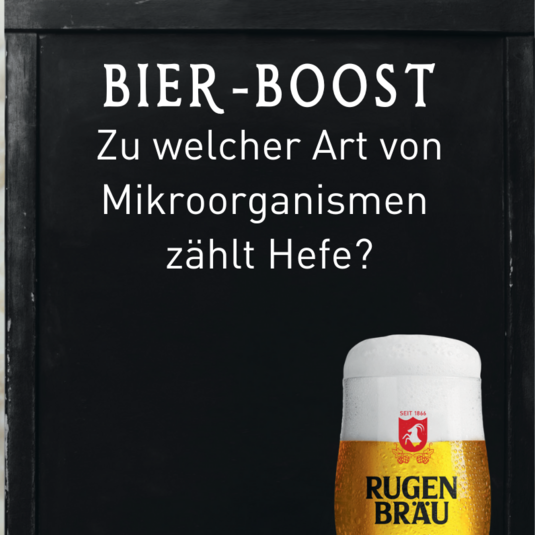 Bier-Boost