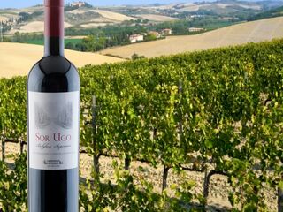 So elegant die Etikette, so komplex der Wein