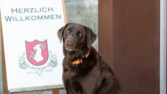 Luna receptionist depot Zollikofen