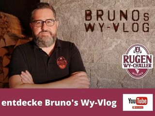 Discover the new Wy vlog #19